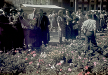 115589 Gezicht op de zaterdagse bloemenmarkt op het Janskerkhof te Utrecht.